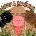 Grupa "Mróweczki", 