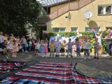 Piknik todzinny,