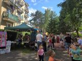 Piknik todzinny,