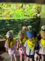 Wycieczka do zoo, 