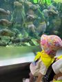 Wycieczka do zoo, 