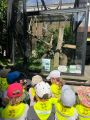 Wycieczka do zoo, 