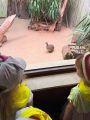 Wycieczka do zoo, 
