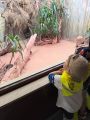 Wycieczka do zoo, 