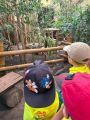 Wycieczka do zoo, 