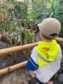 Wycieczka do zoo, 